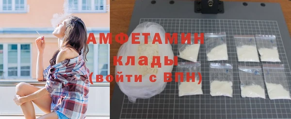 дмт Рославль