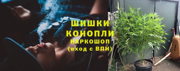 амф Алексин