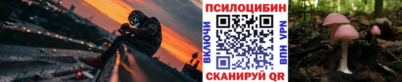 Псилоцибиновые грибы MAGIC MUSHROOMS  купить  цена  Зверево 